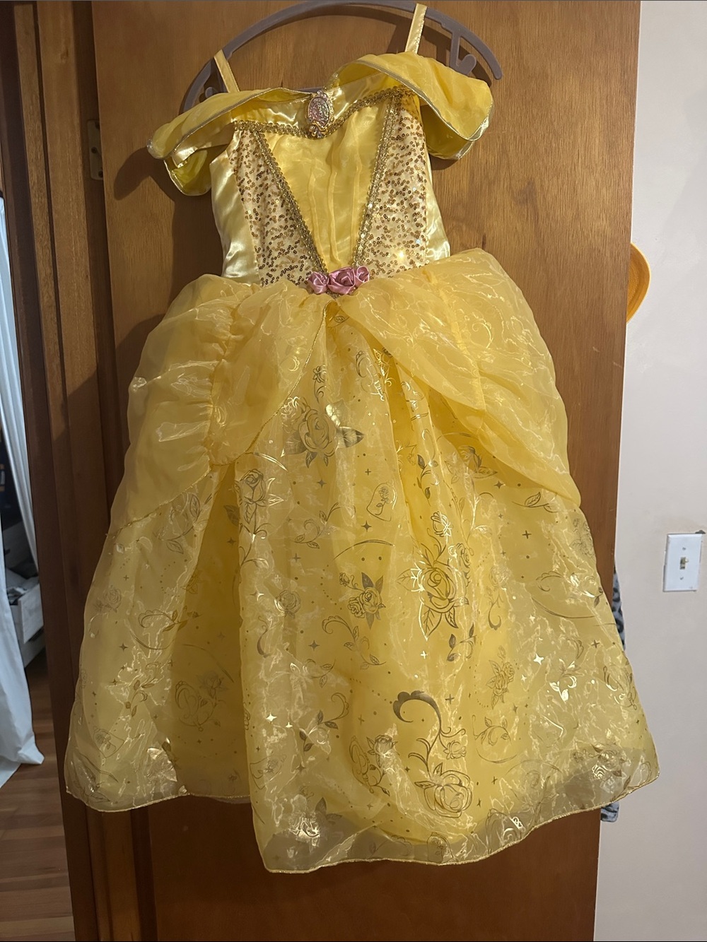 Belle deluxe princess dress